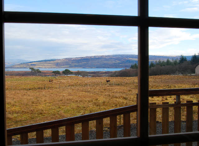 View through a window